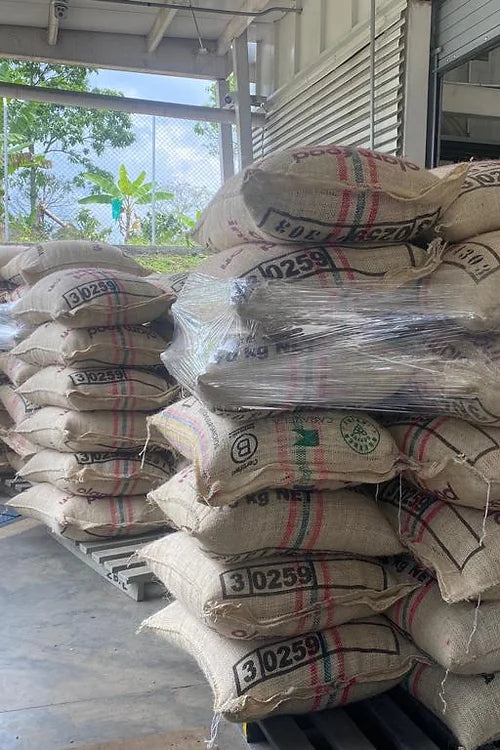 Colombia Huila koffeinfri Espresso-Alex Kaffe