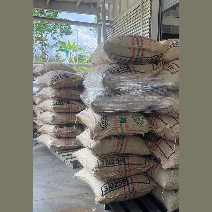 Colombia Huila koffeinfri Espresso-Alex Kaffe