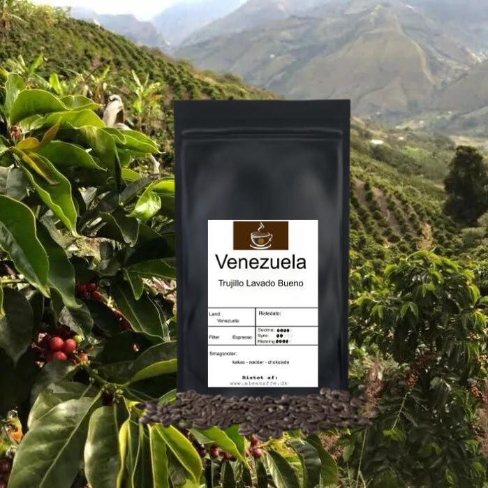 Venezuela Trujillo Lavado Filter